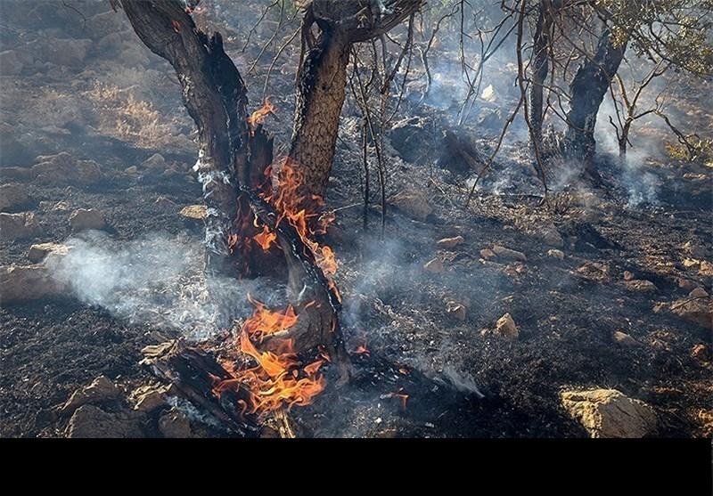 5 هكتار از مرتع و جنگل هاي بانه در آتش سوخت