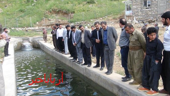 استخر پرورش ماهی 3 تنی در روستای کانی پری بانه افتتاح شد
