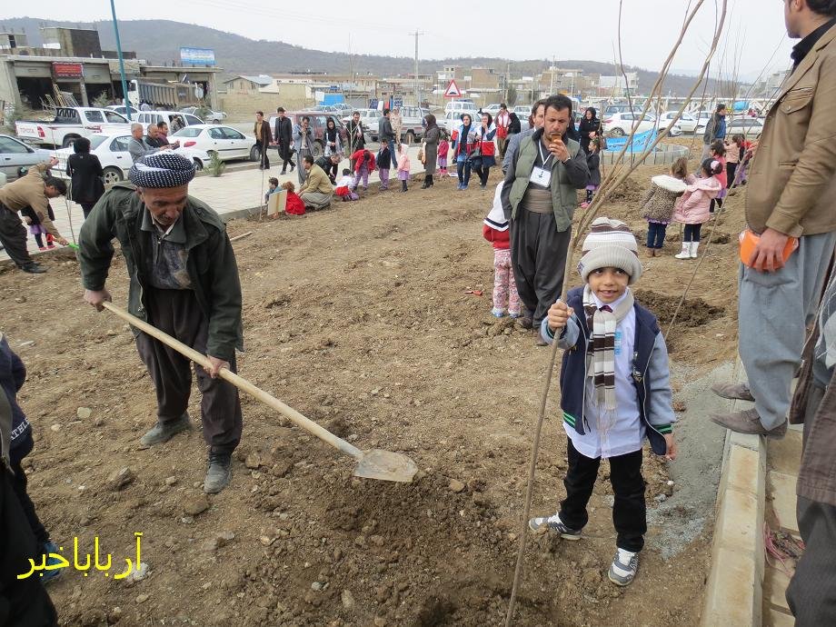 مراسم بزرگداشت روز درختکاری در بانه برگزار شد