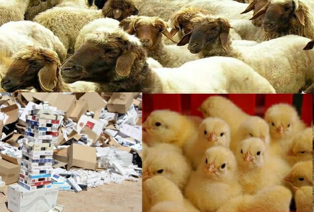 کشف محموله های قاچاق در نوار مرزی بانه