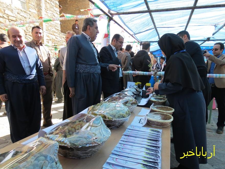 نخستین جشنواره انگور در بانه برگزار شد + تصاویر