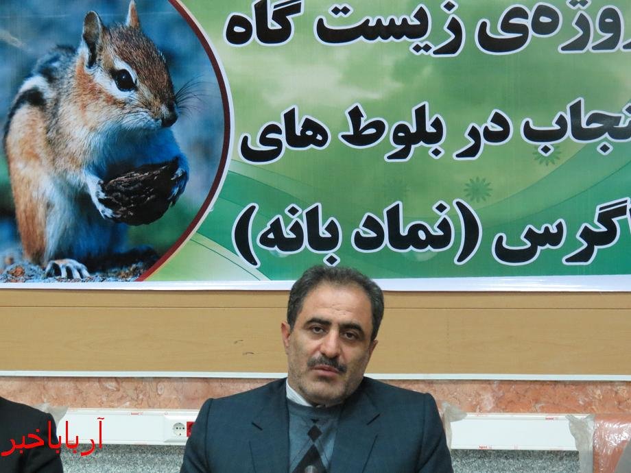 پروژه «زیستگاه سنجاب در بلوط های زاگرس» در  بانه اجرا می شود