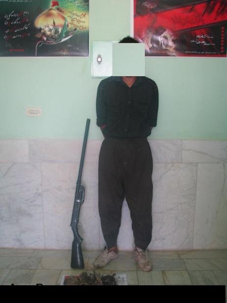 شکار چی غیر مجاز چهار قطعه کبک در بانه دستگیر شد