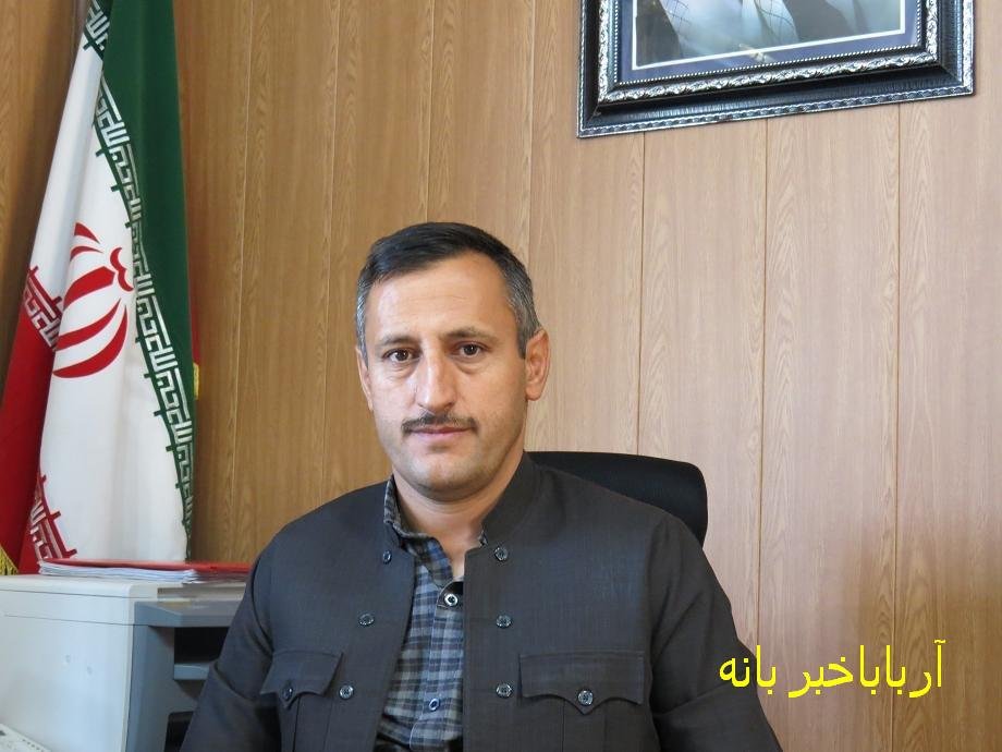 کاشت زعفران برای اولین بار در بانه