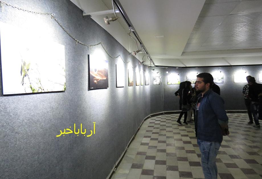 نمایشگاه عکس طبیعت به نفع معلولان در بانه گشایش یافت + عکس