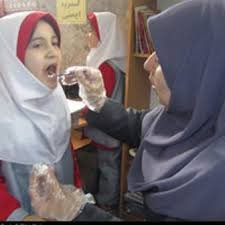 بکارگیری یک مراقب سلامت به ازای هر 2500 نفر در بانه/ جذب 47 کارشناس سلامت در بانه