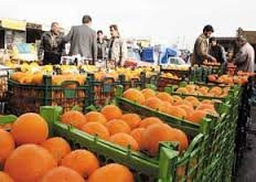110 تن سیب و پرتقال شب عید در بانه توزیع می شود