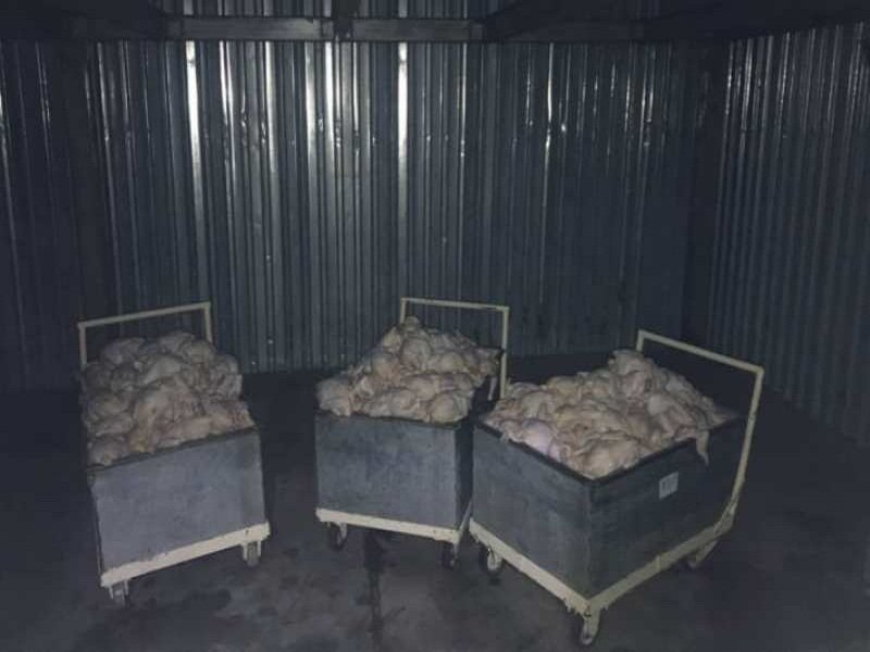 1100کیلوگرم مرغ در كشتارگاه طيور بانه کشف و ضبط شد