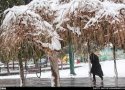 60 میلی متر بارندگی در بانه ثبت شد/ تا آخر هفته هوای بانه پایدار است