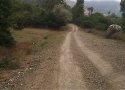 جاده های روستایی بخش آرمرده  وضعیت مناسبی ندارند