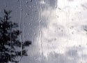 بارش باران در بانه به 11.3 میلیمتر رسید