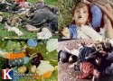 فرش قرمز ایران برای آلمان از رنگ و بوی خردل سردشت هم پررنگ تر بود