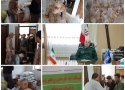 فرمانده سپاه بانه :ما دراین طرح سه مرحله را دنبال می کنیم