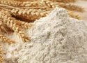سیلوها پر از گندم و انبارها پر از آرد است/شکایت از شایعه پراکنان