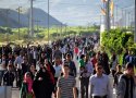 همایش بزرگ پیاده روی خانوادگی در بانه برگزار می شود