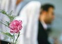 157 عروس و داماد مددجو در بانه کمک هزینه ازدواج می گیرند