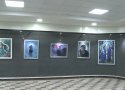نمایشگاه نقاشی با عنوان«٩١ قلاب» در بانه برپا می‌شود