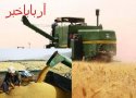 پایان عملیات برداشت گندم در بانه/ خرید 4500 تن گندم مازاد بر نیاز کشاورزان در بانه
