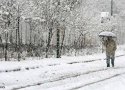 بارش ها از بعد از ظهر جمعه بانه را فراخواهد گرفت