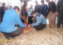 رهاسازی 4 قلاده سنجاب در بانه به دامان طبیعت + عکس