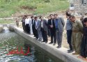 استخر پرورش ماهی 3 تنی در روستای کانی پری بانه افتتاح شد
