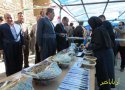 نخستین جشنواره انگور در بانه برگزار شد + تصاویر