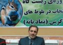 پروژه «زیستگاه سنجاب در بلوط های زاگرس» در  بانه اجرا می شود