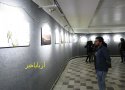 نمایشگاه عکس طبیعت به نفع معلولان در بانه گشایش یافت + عکس
