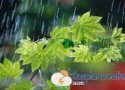 پایان بارندگی از بعد از ظهر امروز/ پایداری هوای بانه تا پایان هفته