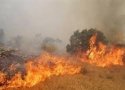 سریال آتش سوزی جنگلها و مراتع بانه در بخش ننور کلید خورد