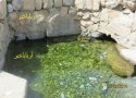 چشمه نچیران( کانی نه چیران)از جاذبه های گردشگری بخش ننور در بانه + عکس