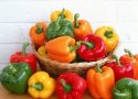 خواص مصرف فلفل دلمه برای افراد دیابتی