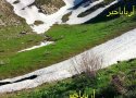 طبیعت زیبای بانه در اردیبهشت + تصاویر