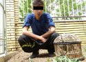 پشیمانی نوجوان بانه ای فعال در خرید و فروش کبک