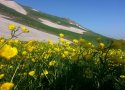طبیعت کوهستان های بانه در اوسط خرداد + تصاویر