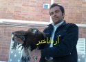 عقاب زخمی توسط دوستدار حیات وحش در بانه تحویل اداره محیط زیست داده شد