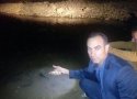 11 هزار قطعه بچه ماهی گرمابی در دریاچه آلوت بانه رهاسازی شد