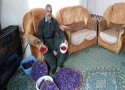 برداشت 4530 گرم طلای سرخ در شهرستان بانه