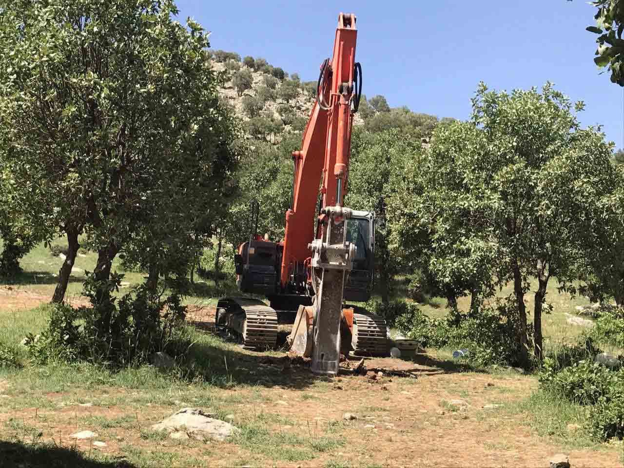 نبرد درختان بلوط با معدن در قلب جنگل بانه