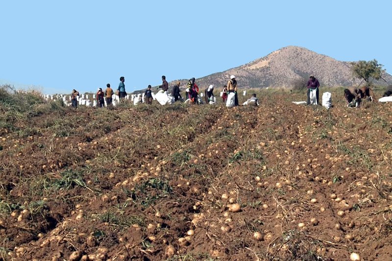 کولبرانی که از دل خاک روزی می خورند
