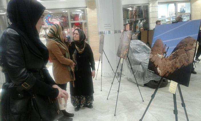 مراسم افتتاح نمایشگاه عکس گروهی در بانه به روایت تصویر