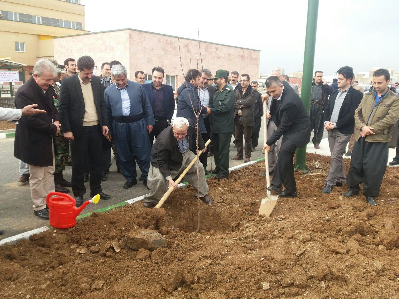 مراسم نمادين هفته درختكاري در بانه برگزار شد