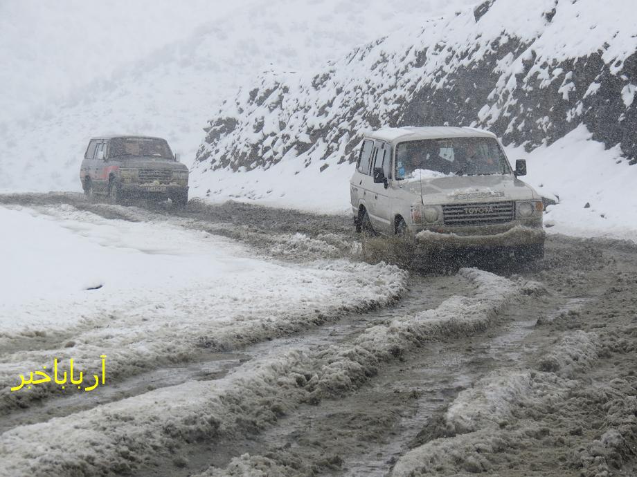 آرباباخبر: بارش برف بهاری در بانه